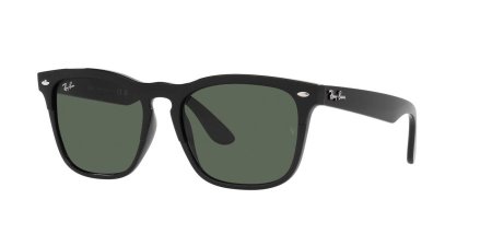Ray-Ban RB4487 662971-54 Steve Black / Dark Green Lenses