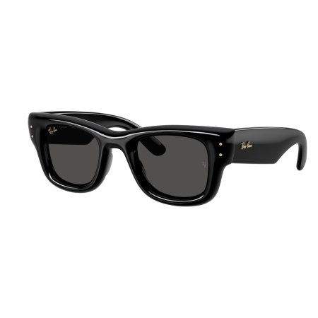 RB4940 601/87 Black  Ultra Black